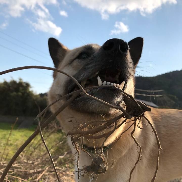 7bebc4eb f7fb 438d aead 5d1e3257f445 1552727088033