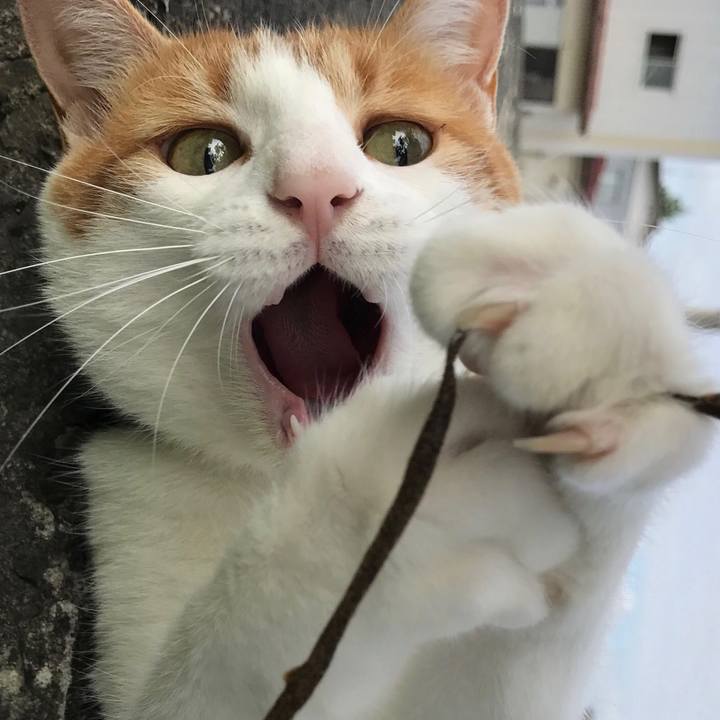 7bebd74b 2c05 41b4 b3f2 0512763e49f9 1521030318676