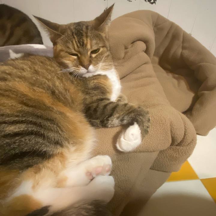 7bebe8a6 e292 40b1 817b e90547a83b44 1697481718106