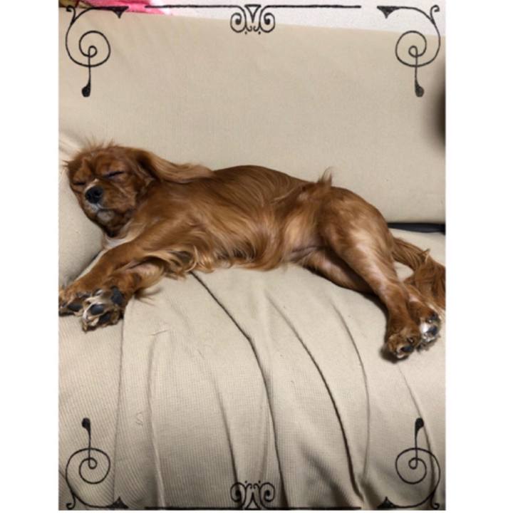 7bec20f7 98f3 47a9 99ef c04773dbfe93 1544873512509