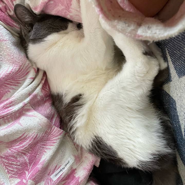 7bec28e3 03ca 4b3d bd9d 77ffaeda1301 1651720813030