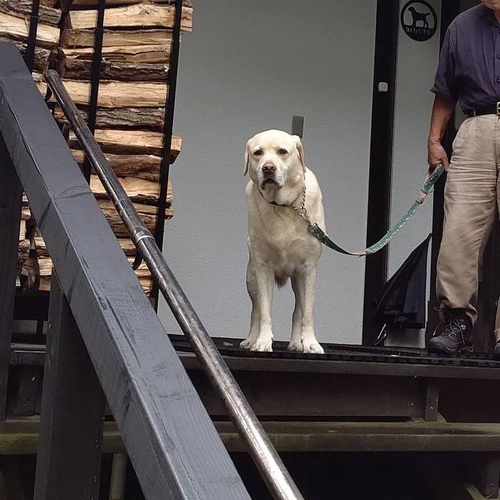 7bec2b8b 2a18 42fe 8884 42df460c39d9 1662716236748