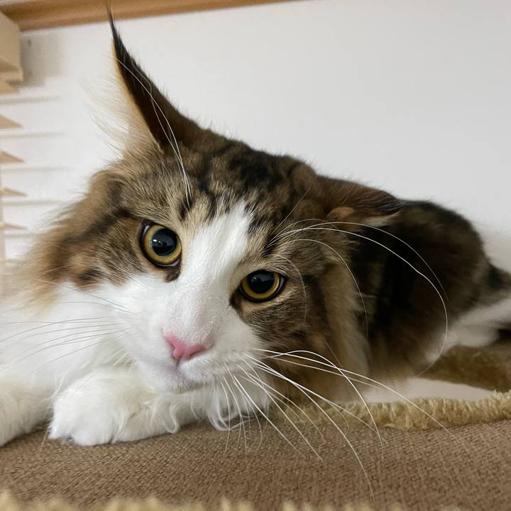 7bec53db fb92 4e7d b99a 4ec081794cae 1644183584945