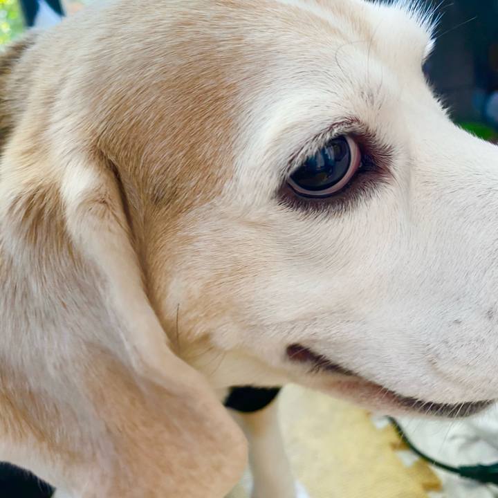 7bec6a93 20dd 4be6 a0a3 5ae2a4648e52 1646538322964