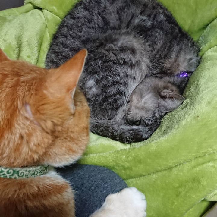 7bec7913 7ef0 440c 8b34 cd91c0257bfc 1584228119386