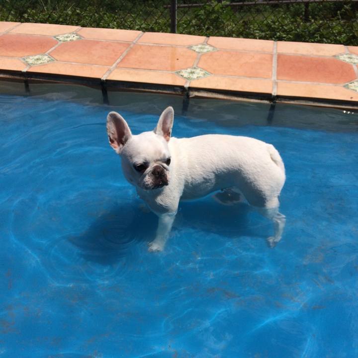 7bec8049 6dd4 4812 bb5a 3698697853d9 1534142800215