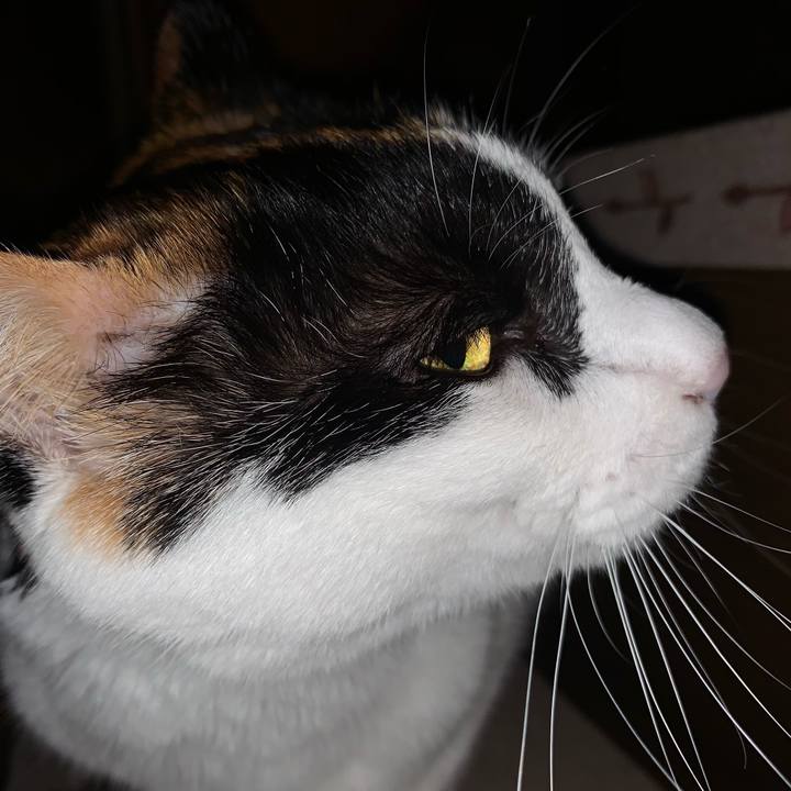 7beca6c1 0a13 45f6 b116 3a11496c5ae5 1606571086430