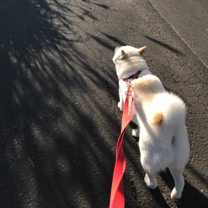 7becad30 263b 4545 a715 f5e29bd64ebb 1539781916593