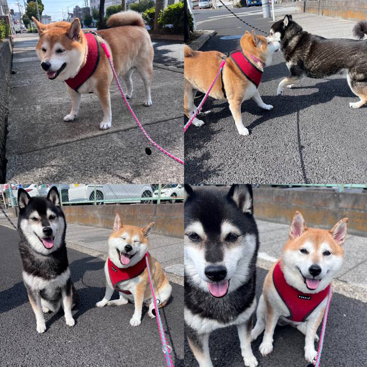 7becfa64 d119 4103 870c a0a35bc61316 1698378630384