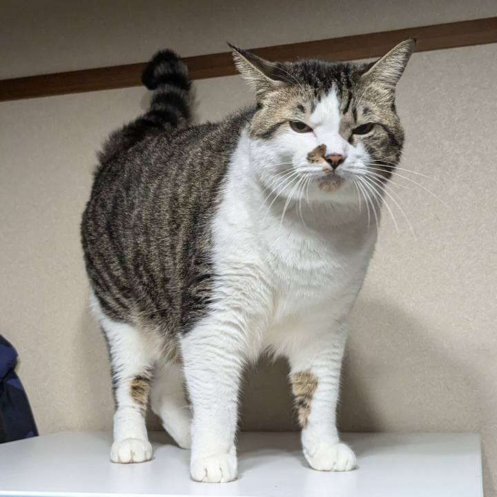 7bed048a bcc1 48e7 b117 614de2275ca1 1731666701743