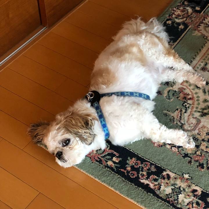 7bed5884 baa6 4638 88bb fcc273fd16a5 1530740982308