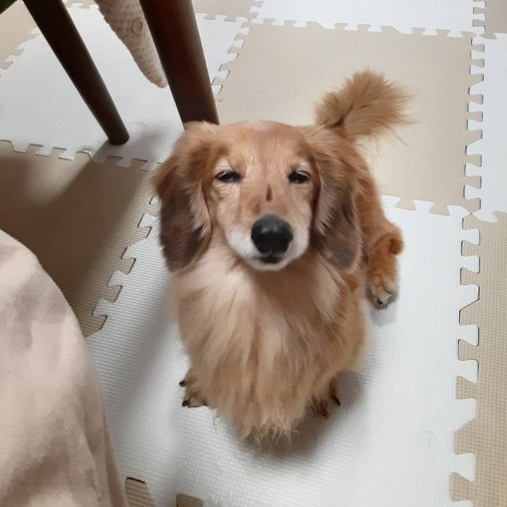 7bed835c 0783 42d8 b177 6e60096e7921 1639749585534