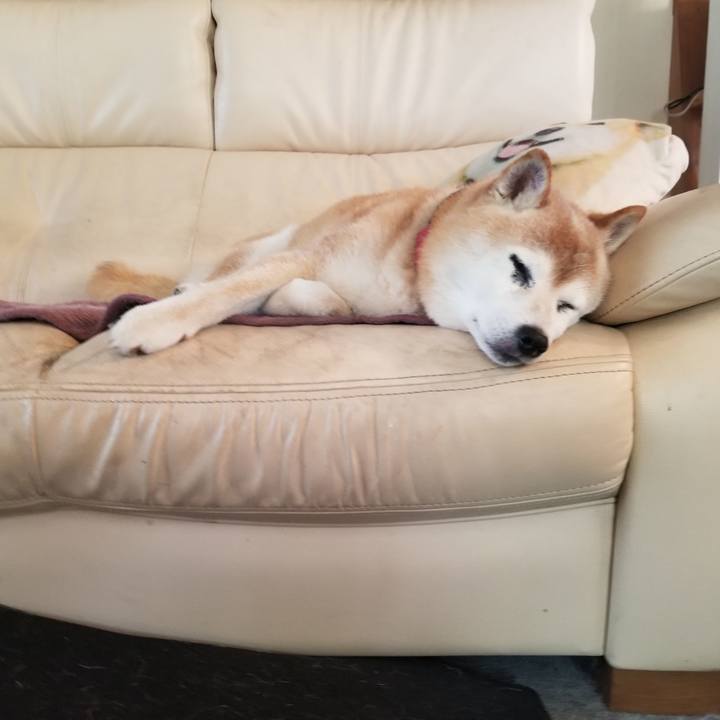 7bed8faf 45b5 41c1 9533 38ff6b9d732a 1751855405546