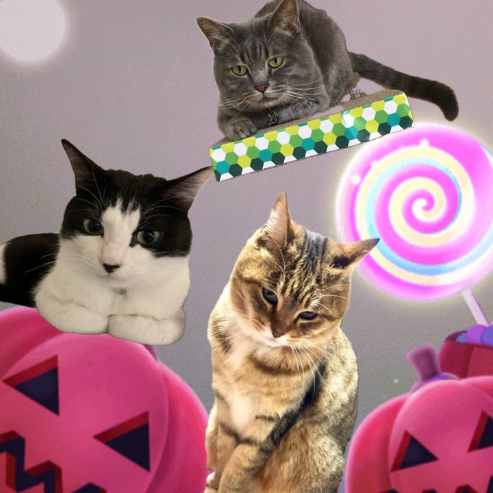 7beda6cb d08a 4225 a61a cbd8fab1175c 1730242235493