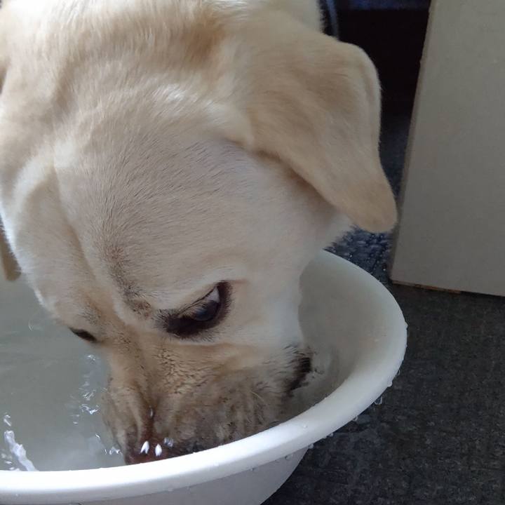 7bedbf53 3682 42fb 9ead a8224fb83aad 1591835312359