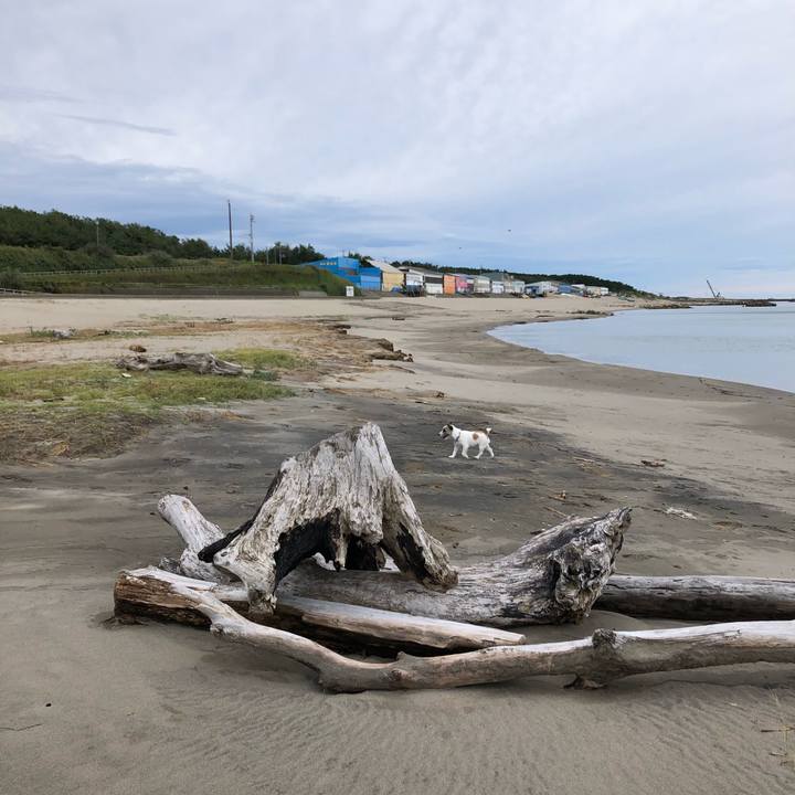 7beddff1 2dc5 4146 babc 826cd5b8c848 1602284584551