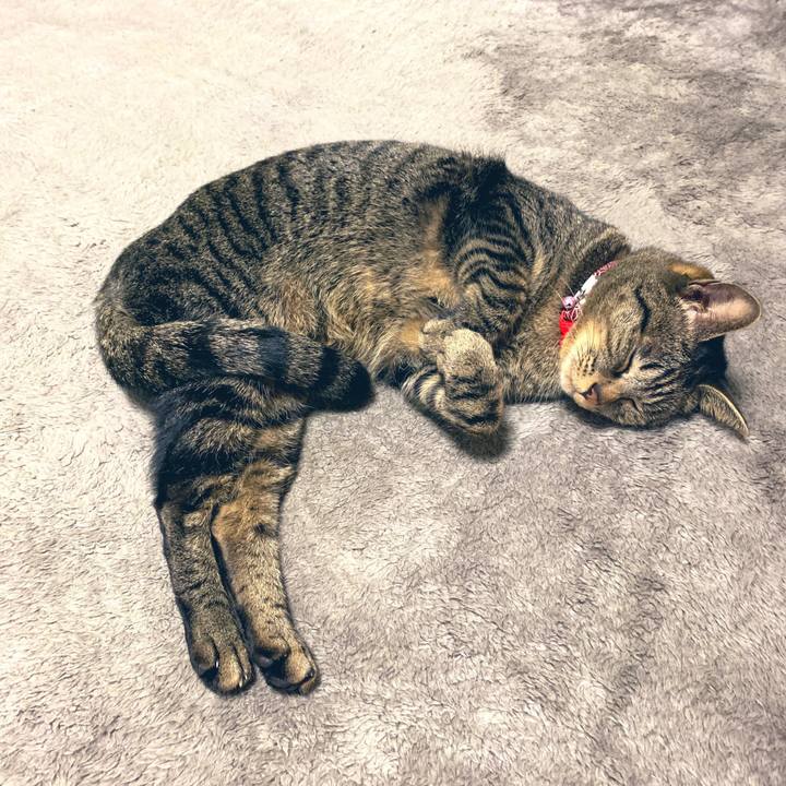 7bee004b 1197 4fd6 b94a 98406e357eba 1547908877841