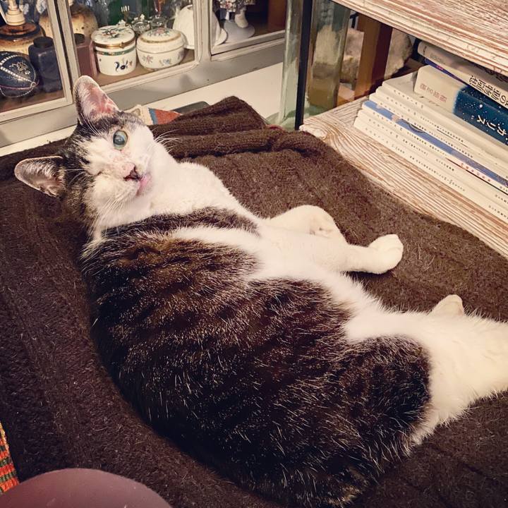 7bee08fd eb09 449a b7fa 80fc59328f83 1585750399220