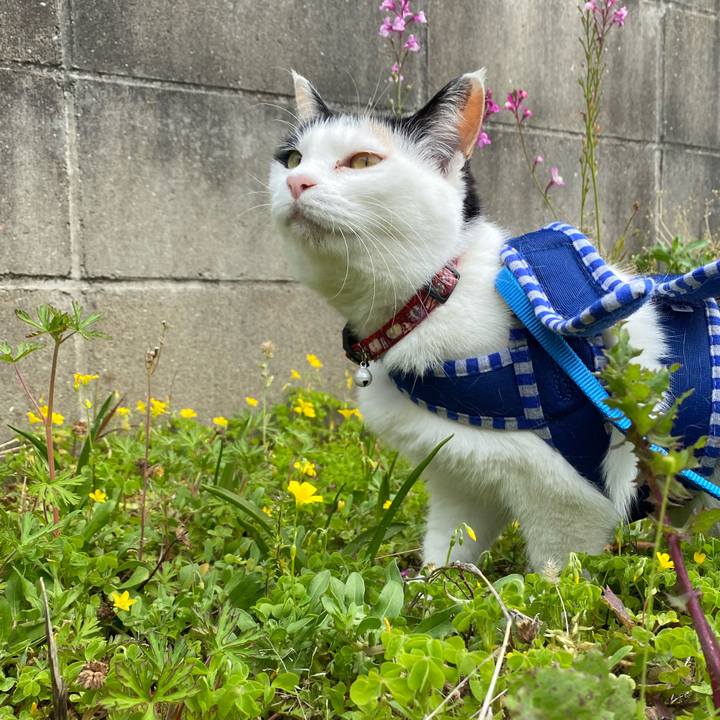 7bee2caf 6a8c 4671 9a3c e78812edd0fe 1649755713565