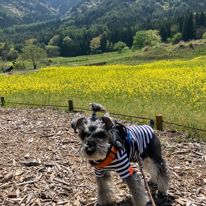 7bee4474 0d42 4697 9dd3 8a9bca3496d3 1746697796320