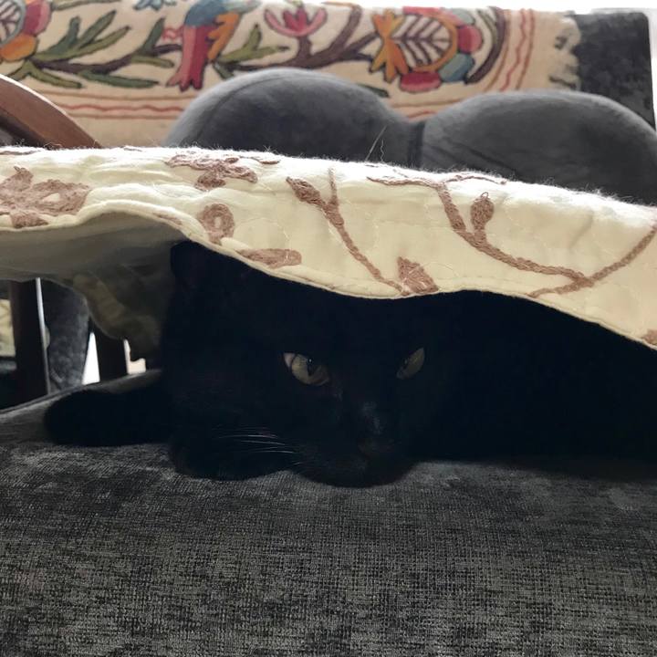 7bee4690 435a 46ff 8d24 bb90bd9f42fe 1526532173628