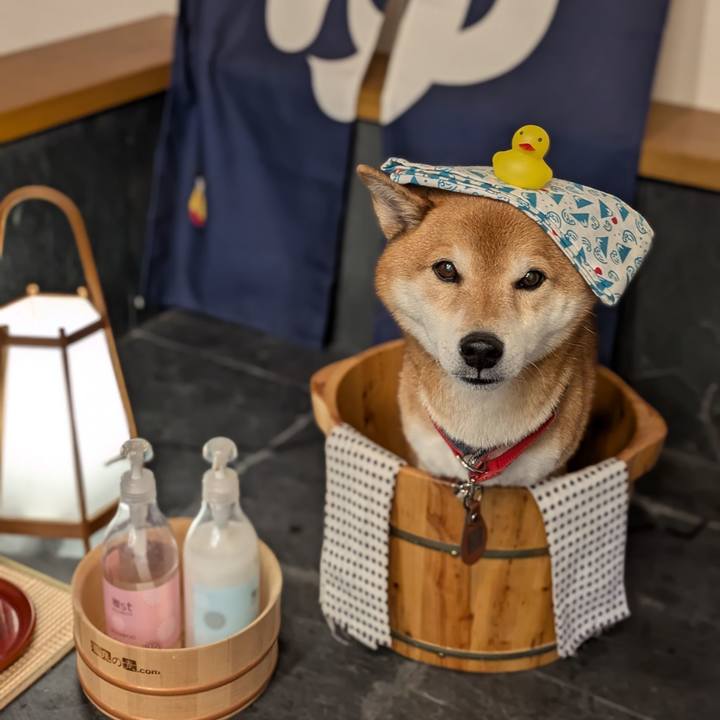 7bee4b61 44cb 4b84 9f14 ea4a9053105e 1734621224566