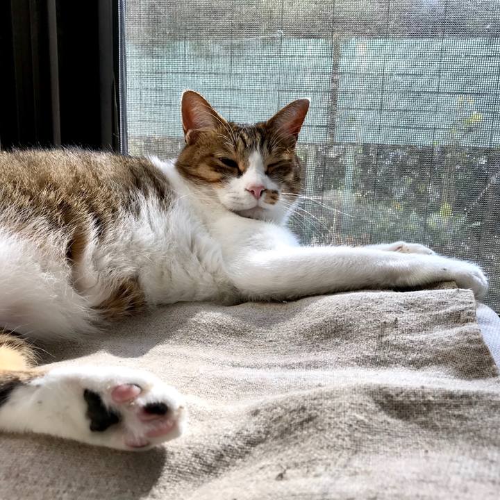 7bee5c3e 3f4d 4508 b685 d7b45272b1e6 1511778101226