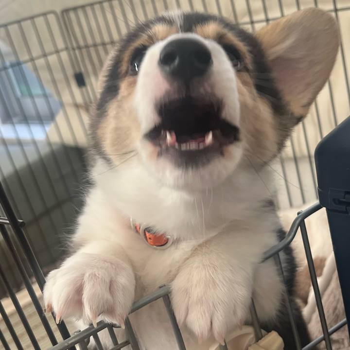 7bee658a 976a 4160 a8e6 85a2b1dff106 1769907505664