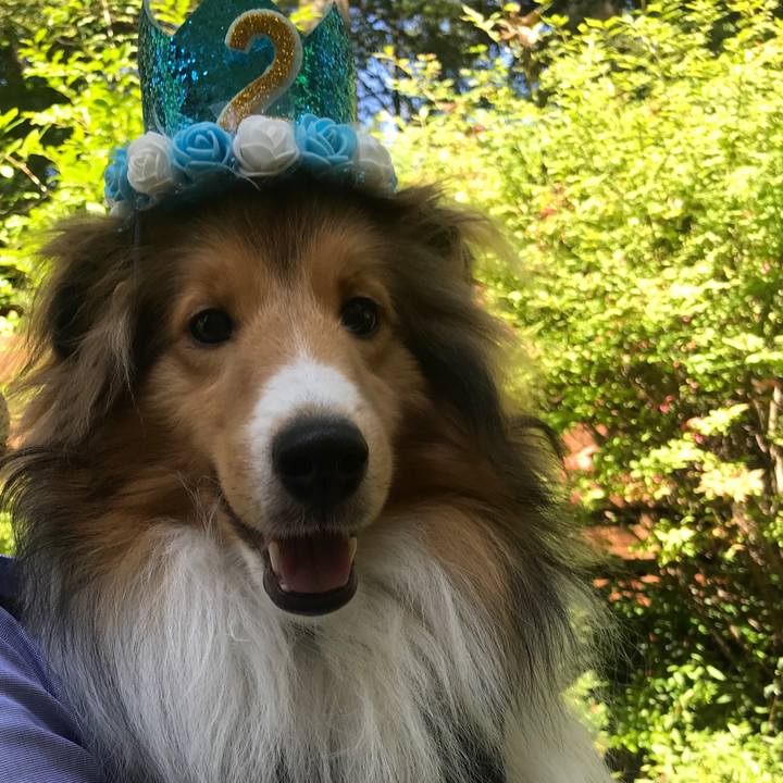 7beec7b3 5fce 49fe 9ced 9e295e686f73 1578215615849