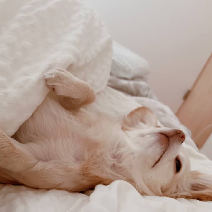 7beec7d8 6ca6 429e 9919 9c0d279bebe5 1678315985304