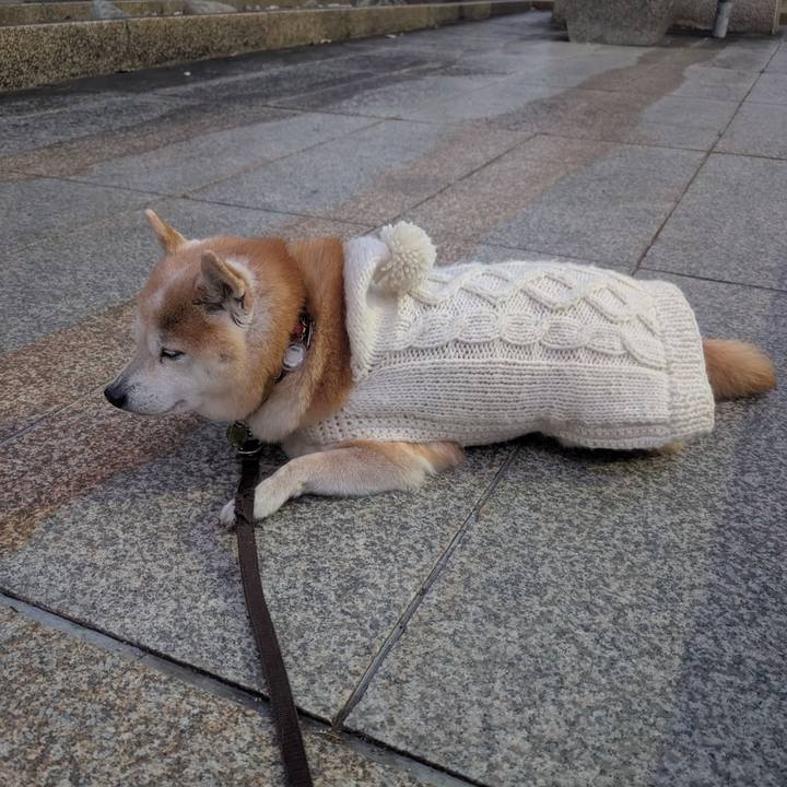 7beedb93 751c 44b6 bf13 a78086ff9079 1767169152430