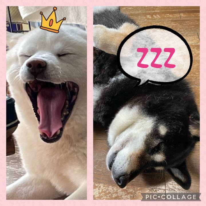 7beee4f9 492b 4475 b4c4 e419eb6c17da 1693043714428