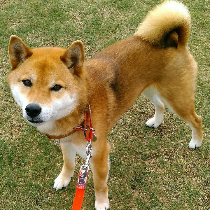 7bef0ece e6ff 4111 a575 c6a81ee7b751 1516027585973