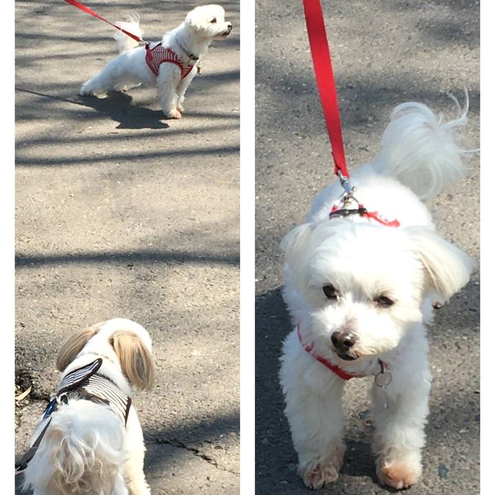 7bef1071 46b0 4395 9348 715d27a34a57 1587794109004