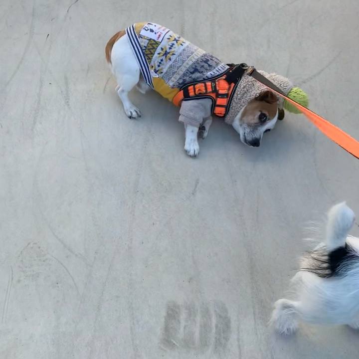 7bef251f 2c60 41e0 843b abcf5fe58124 1639529733056