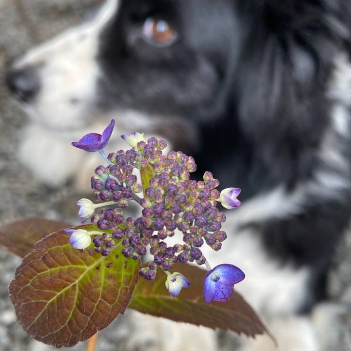 7bef2770 1581 4f9a af8d f312503837c7 1620872288102