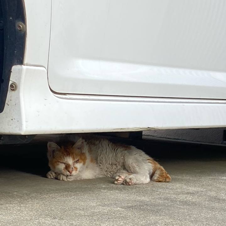 7bef2906 c8f7 4736 9bce 9158df2369e4 1662813064268