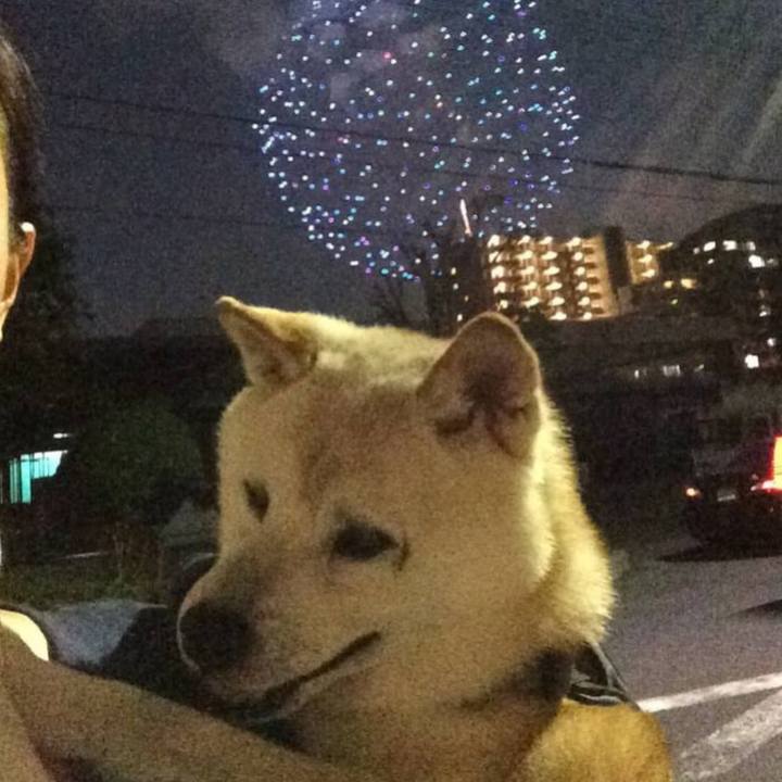 7bef4231 e6f9 4936 aba0 c83f50abe6b0 1597491356197