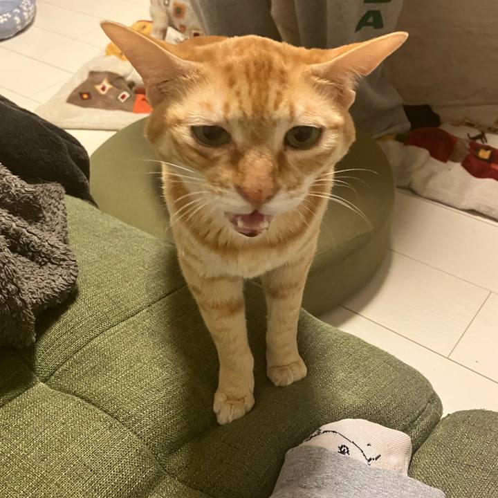 7bef4f2b 1f3e 41c9 9d99 5bb2791602fa 1769422463927