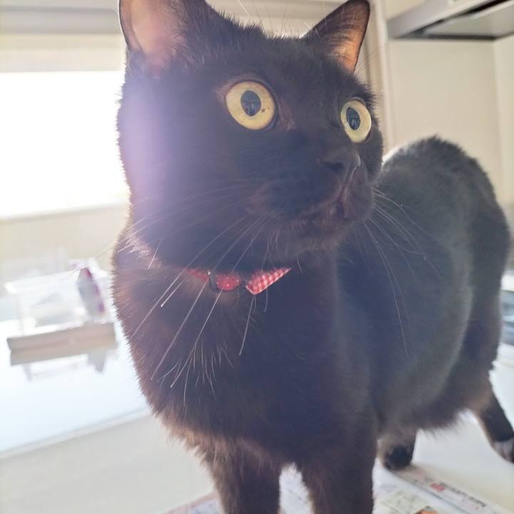 7bef8333 8508 4434 ae95 c1917ce920f8 1698359681584