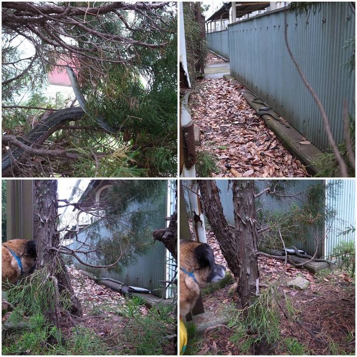 7befc788 da43 4f11 9dbb 168aecbb96bf 1582248067536