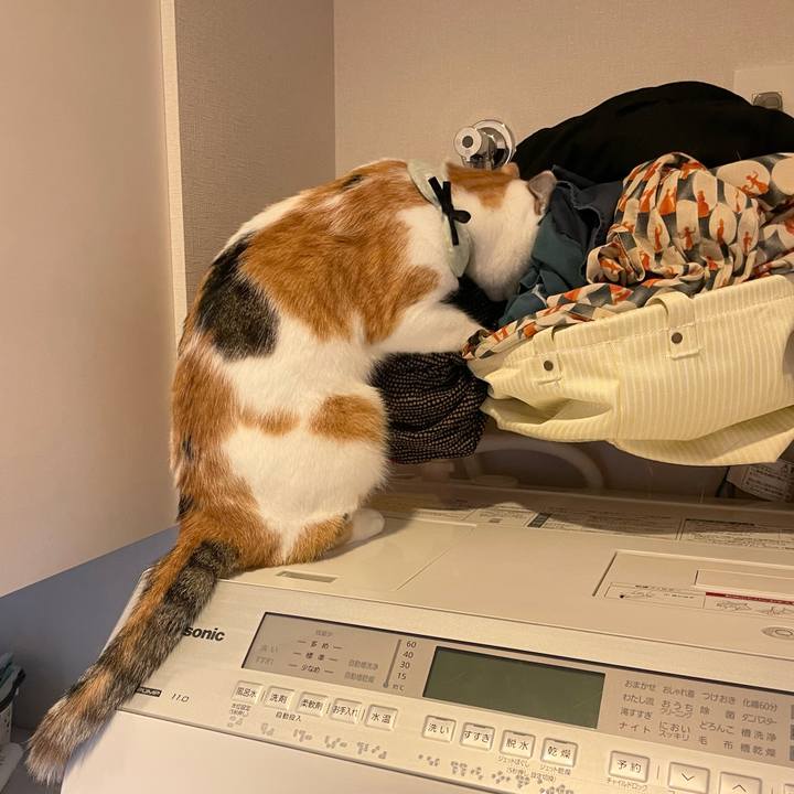 7befd304 1ca3 4694 9f0c 51e8e9fa6532 1665194232749