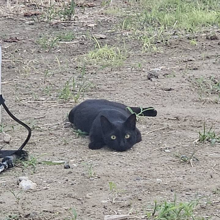 7befd4e3 673d 4f6d a48f bb16cd086a3e 1722145367964