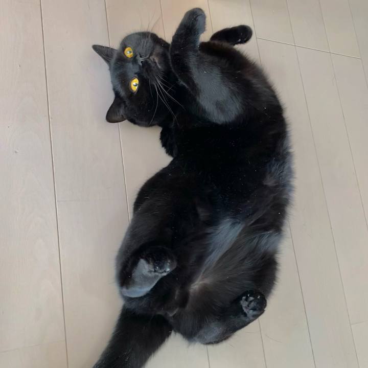 7befddb3 2624 440e bcd0 481d732d2cf8 1618726064586