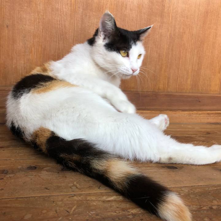 7bf013f9 b448 47a3 9adb 31f97d6ce4ff 1621865934016