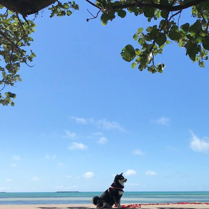 7bf01fcf c57e 4008 8172 fe4fd9178995 1541297223700