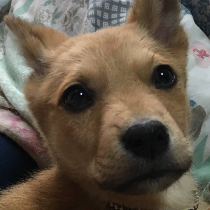 7bf09850 2425 424d b28c 85b776843022 1542117125001