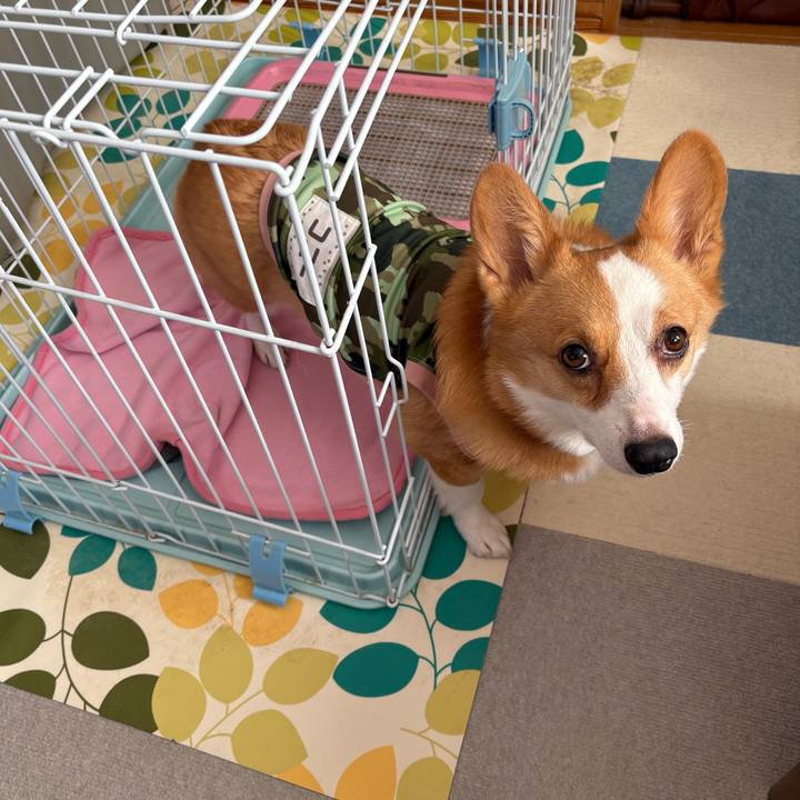 7bf0bfd1 2274 443a ae1c 1925ce39682a 1771463570255