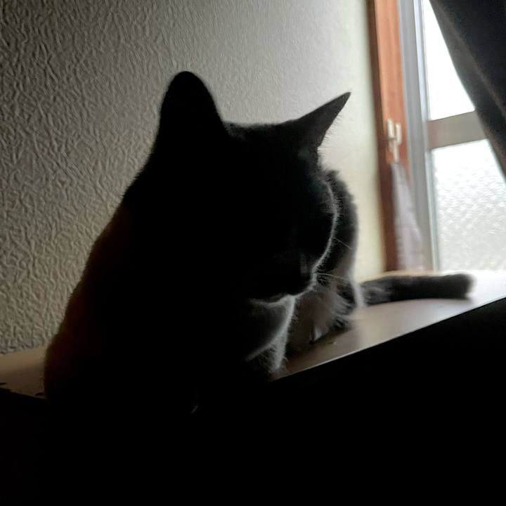 7bf0e92a b0a7 4854 87e2 621fb563c2d4 1660941033067