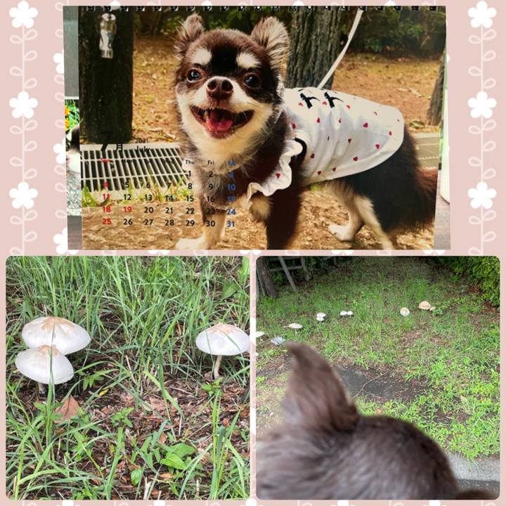 7bf13065 4438 4ede 8083 d600733f56db 1625304723423